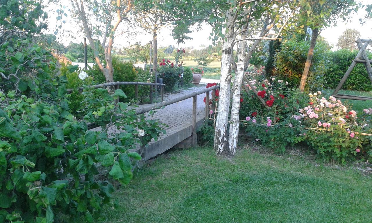 Fattoria Belvedere Bellaria-Igea Marina Buitenkant foto