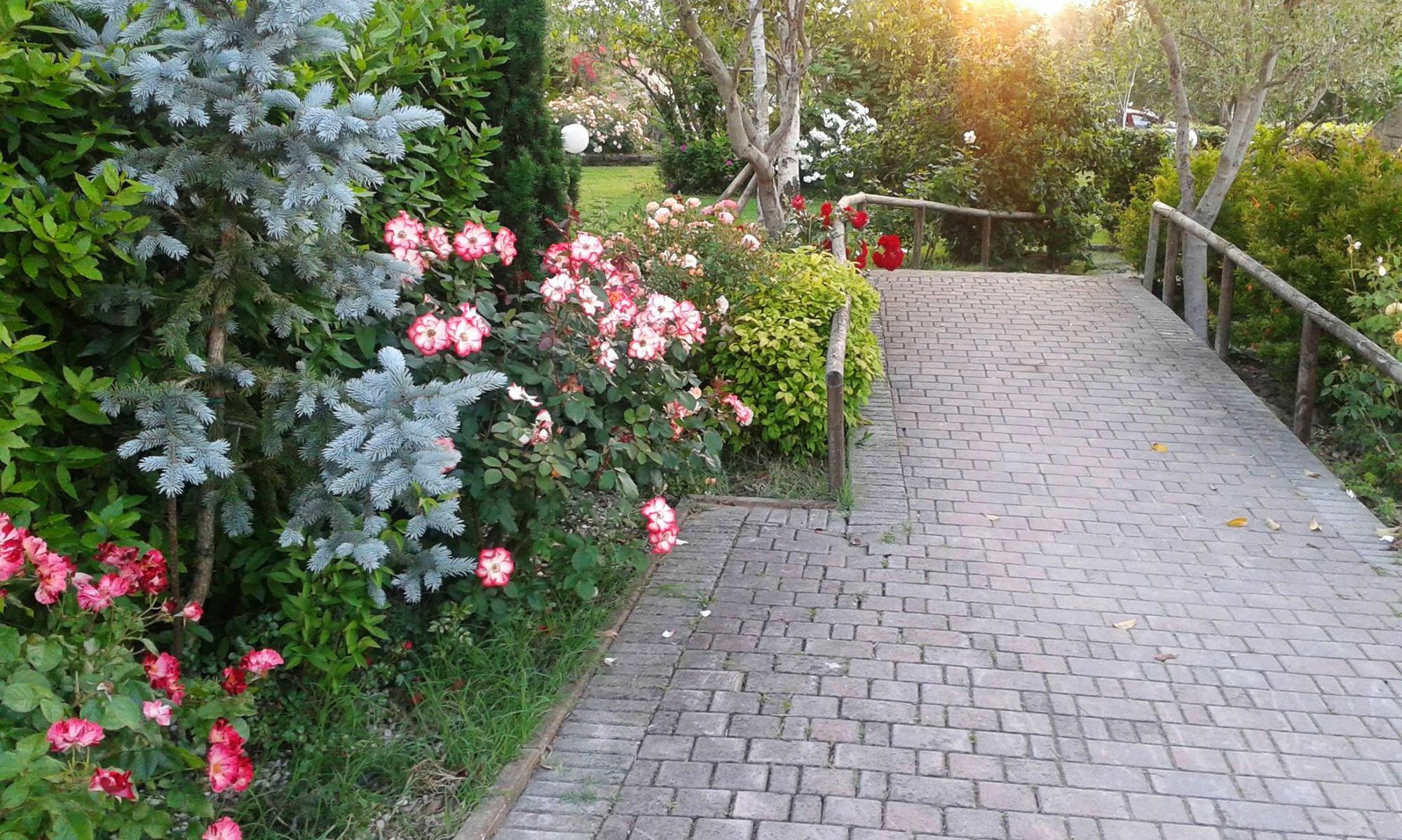 Fattoria Belvedere Bellaria-Igea Marina Buitenkant foto