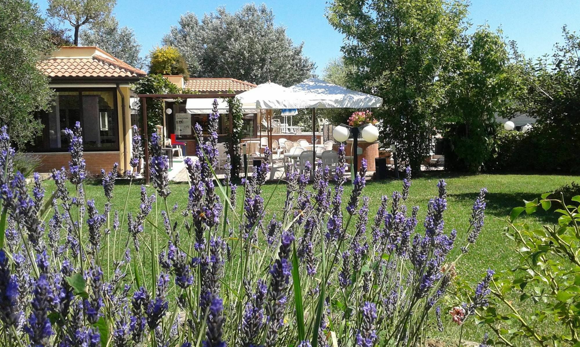 Fattoria Belvedere Bellaria-Igea Marina Buitenkant foto