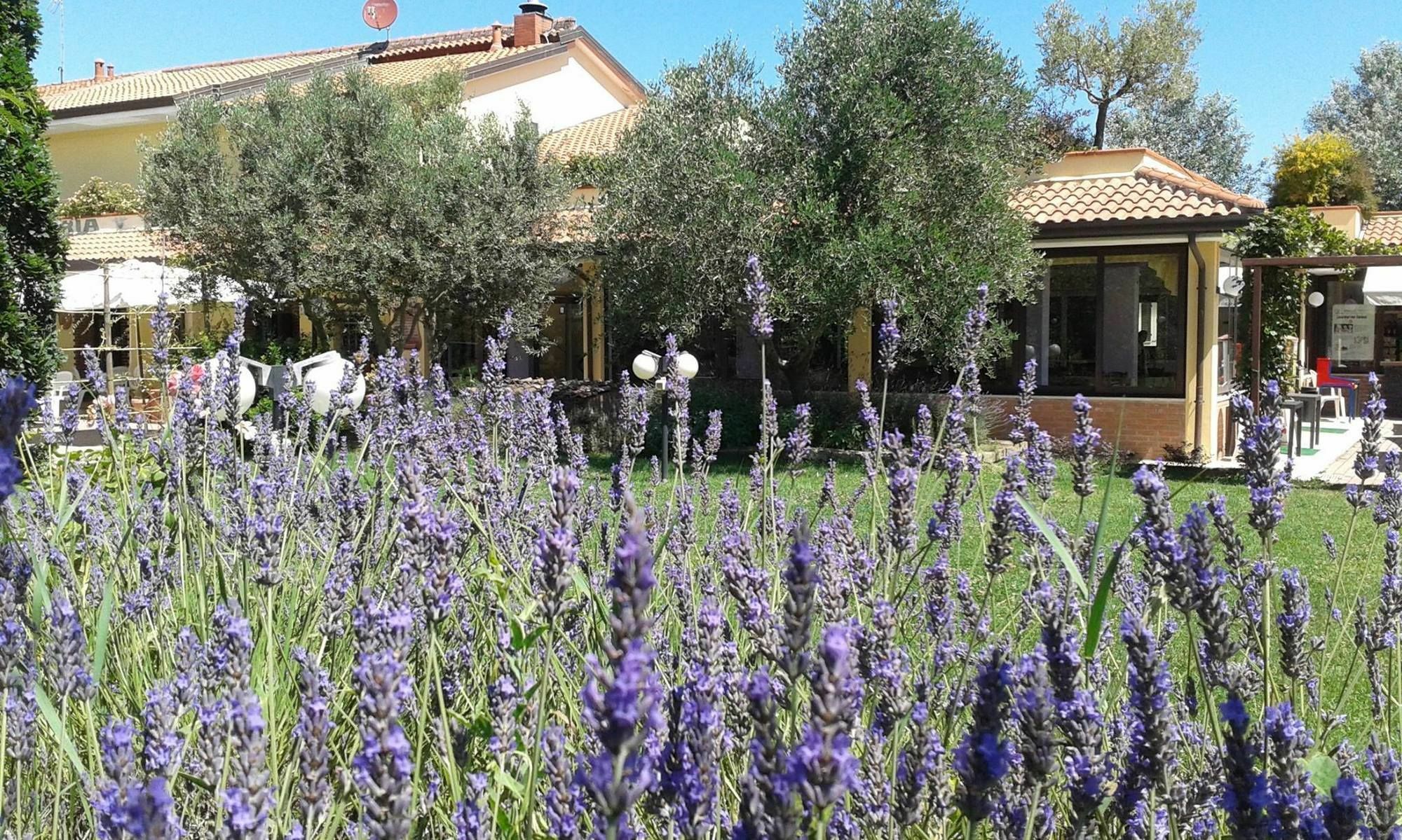 Fattoria Belvedere Bellaria-Igea Marina Buitenkant foto
